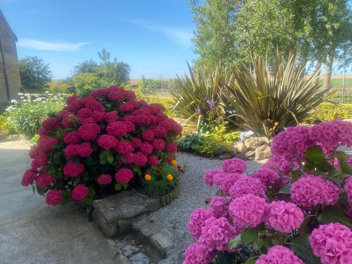 Ferme "Les Flaquettes" Bed & Breakfast Guines ภายนอก รูปภาพ