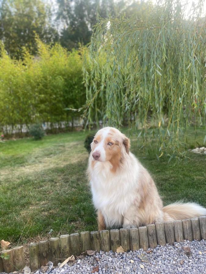 Ferme "Les Flaquettes" Bed & Breakfast Guines ภายนอก รูปภาพ